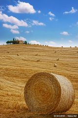 Toscana - Fields Of Gold