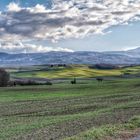 Toscana gennaio 