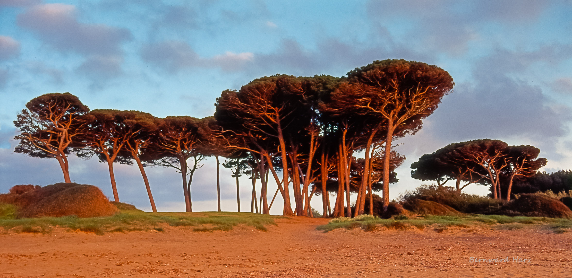 Toscana - Golfo di Baratti