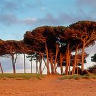 Toscana - Golfo di Baratti