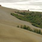 Toscana - Herbstimpression