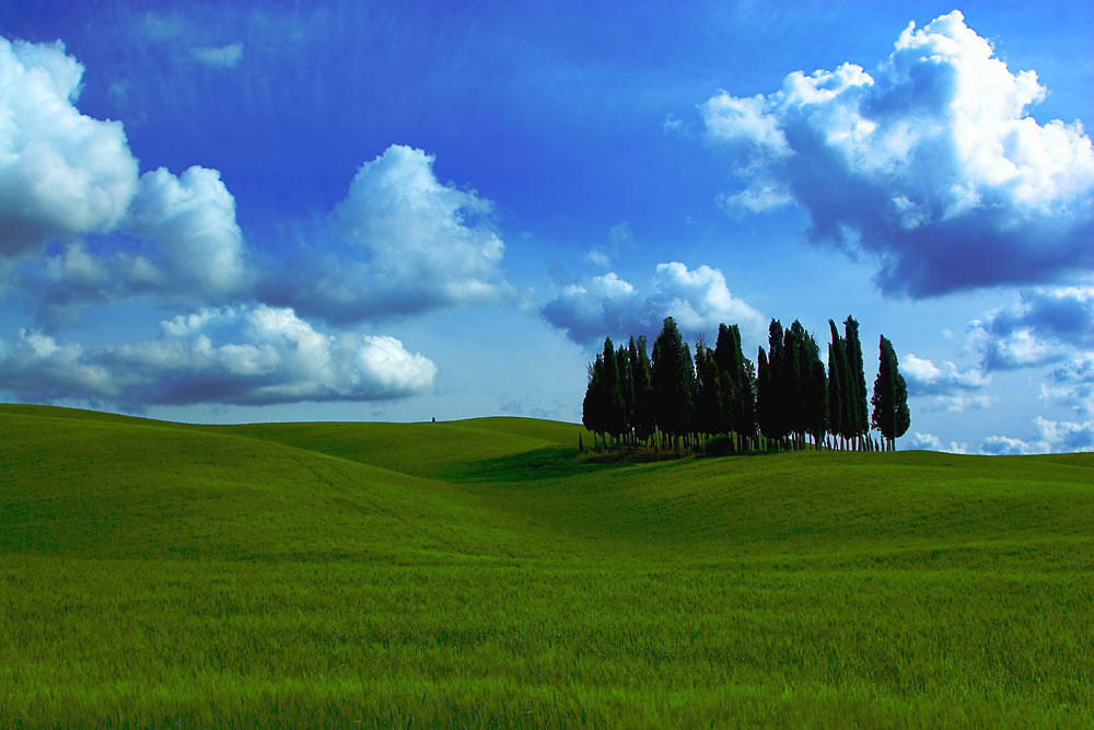 ..........Toscana II..........