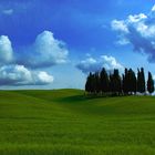 ..........Toscana II..........