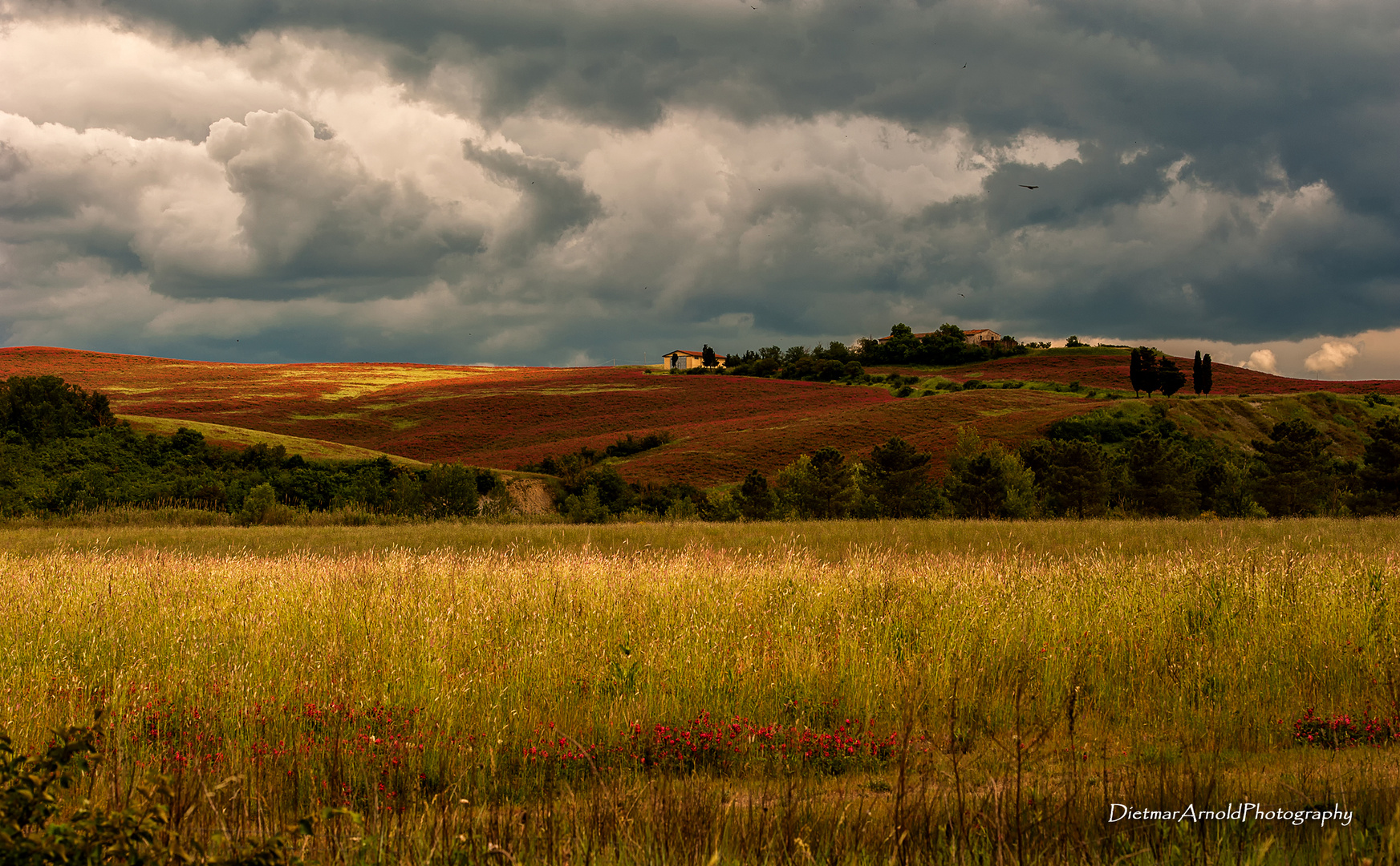 Toscana III