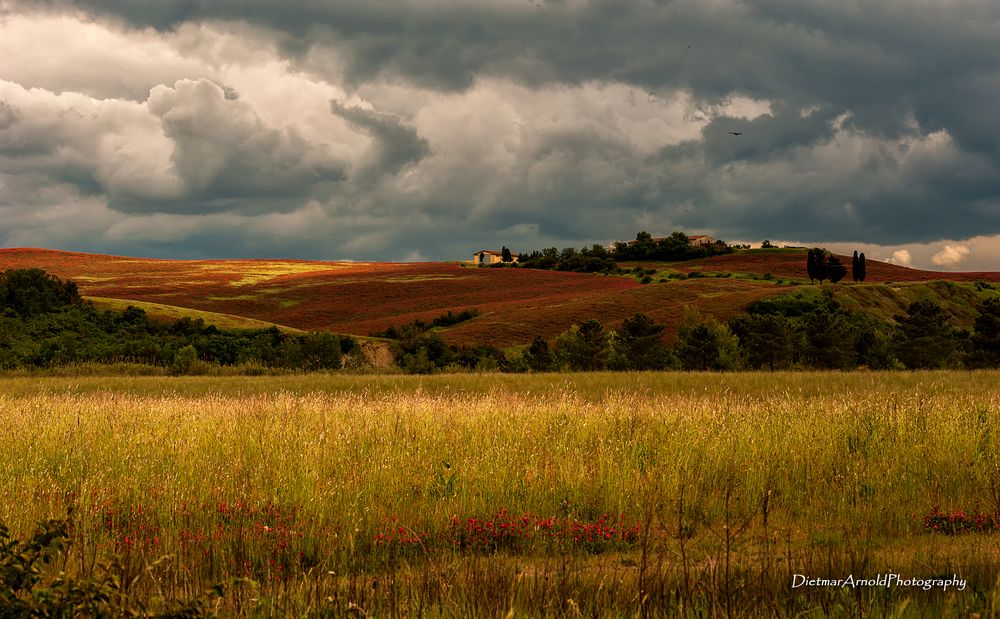 Toscana III