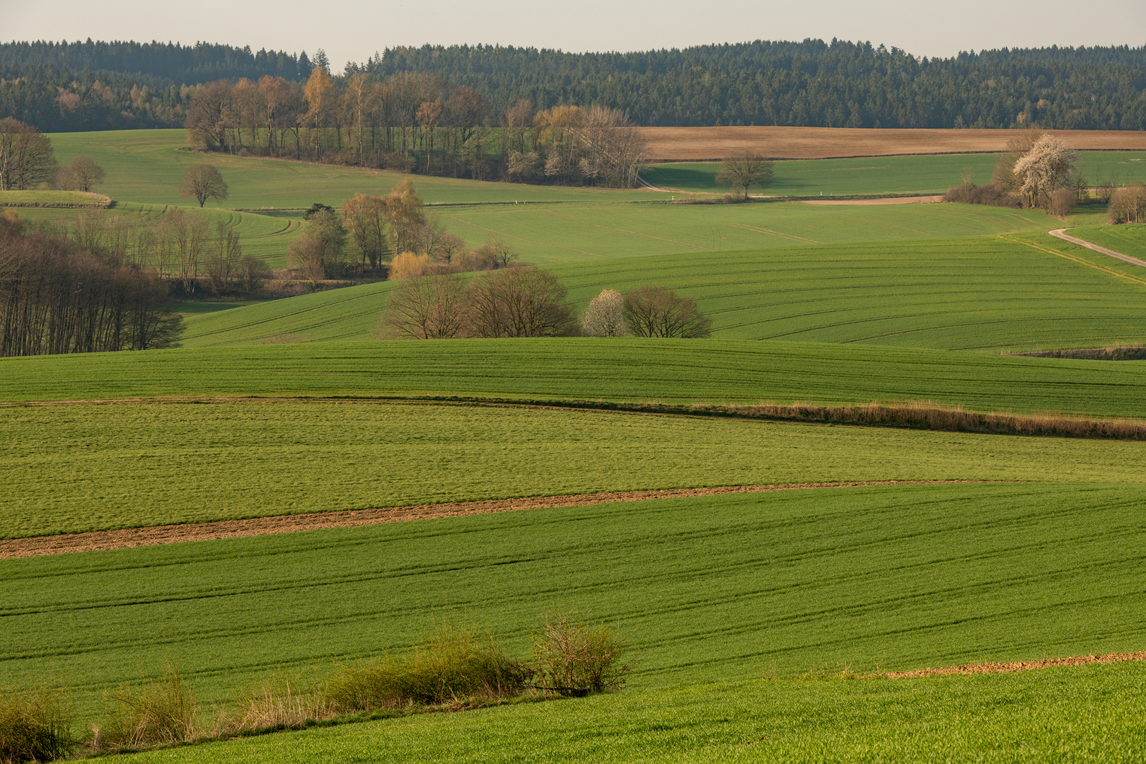 Toscana im Dachauer Hinterland