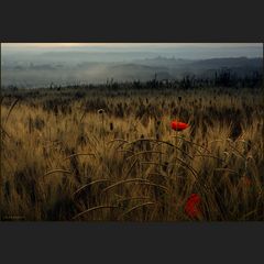 Toscana im ersten Morgenlicht