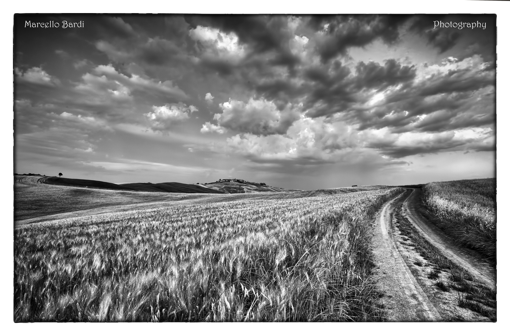 Toscana in B&W