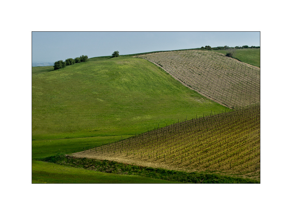 Toscana in Primavera