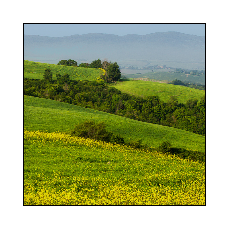 Toscana in primavera II