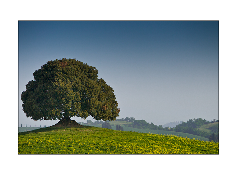 Toscana in primavera V