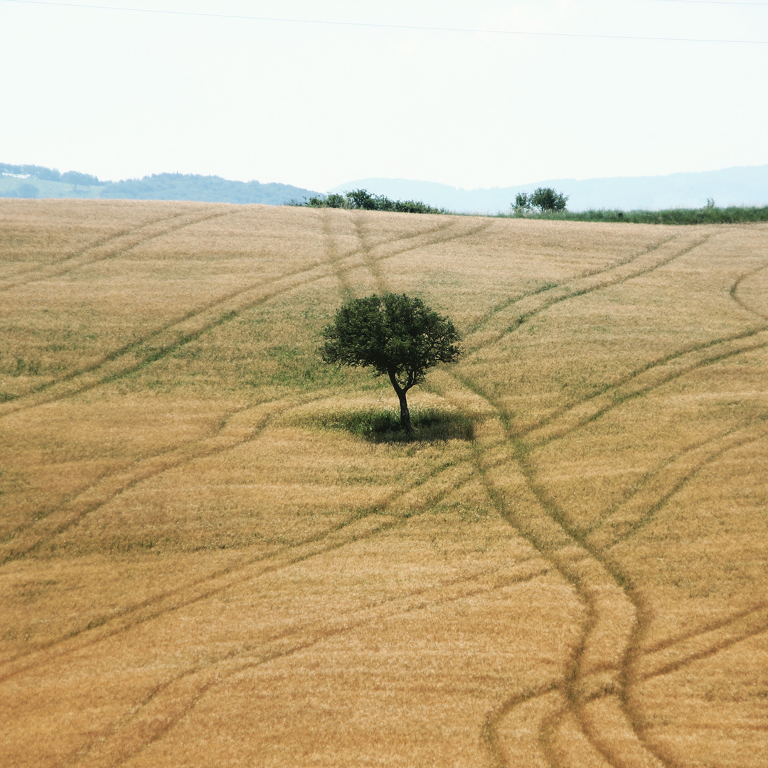 Toscana, Italien