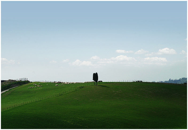 Toscana IV