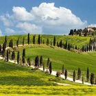 Toscana - La Créte