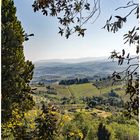 Toscana-Landschaft