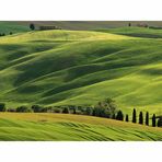 Toscana Landschaft. (18)