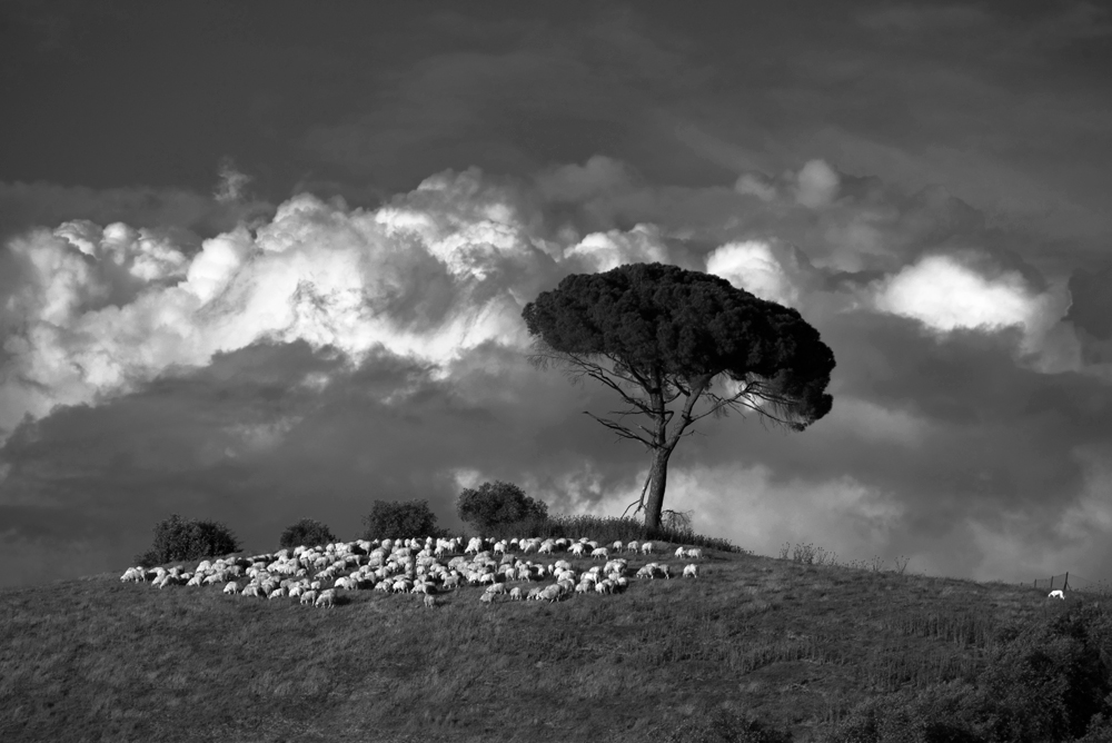 Toscana Landschaft