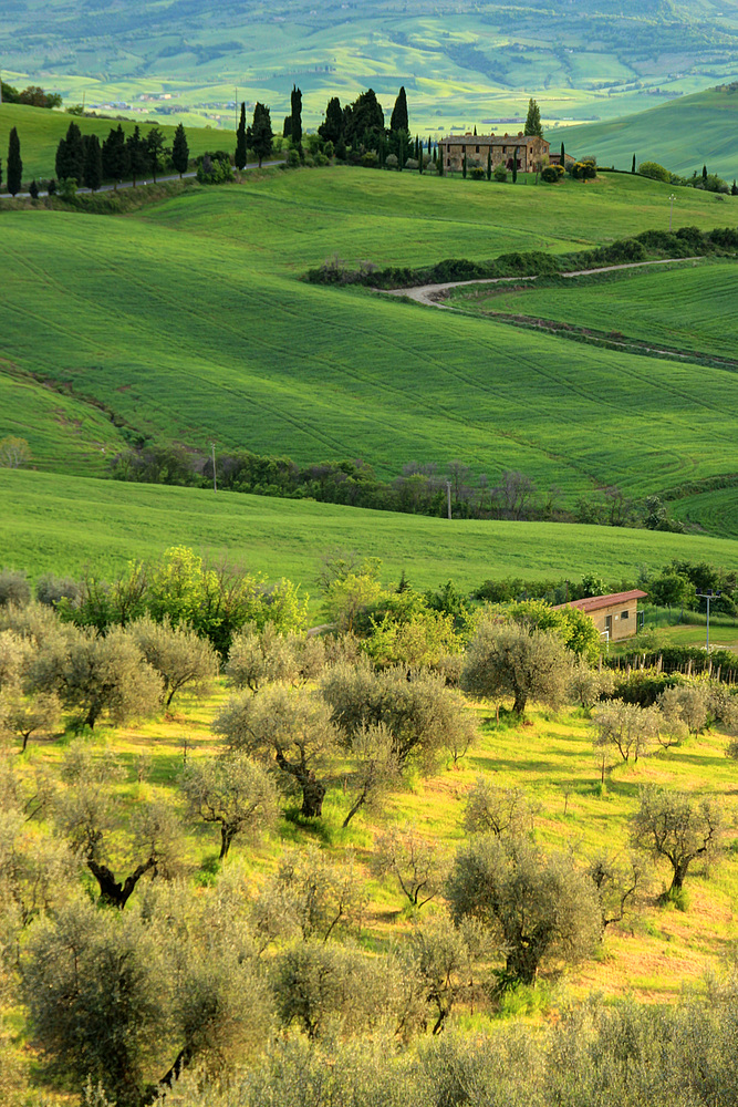 Toscana, Monticchiello. (4)