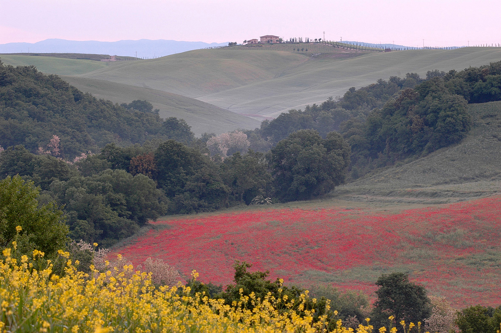 Toscana Morgen