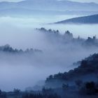 Toscana nebbioso