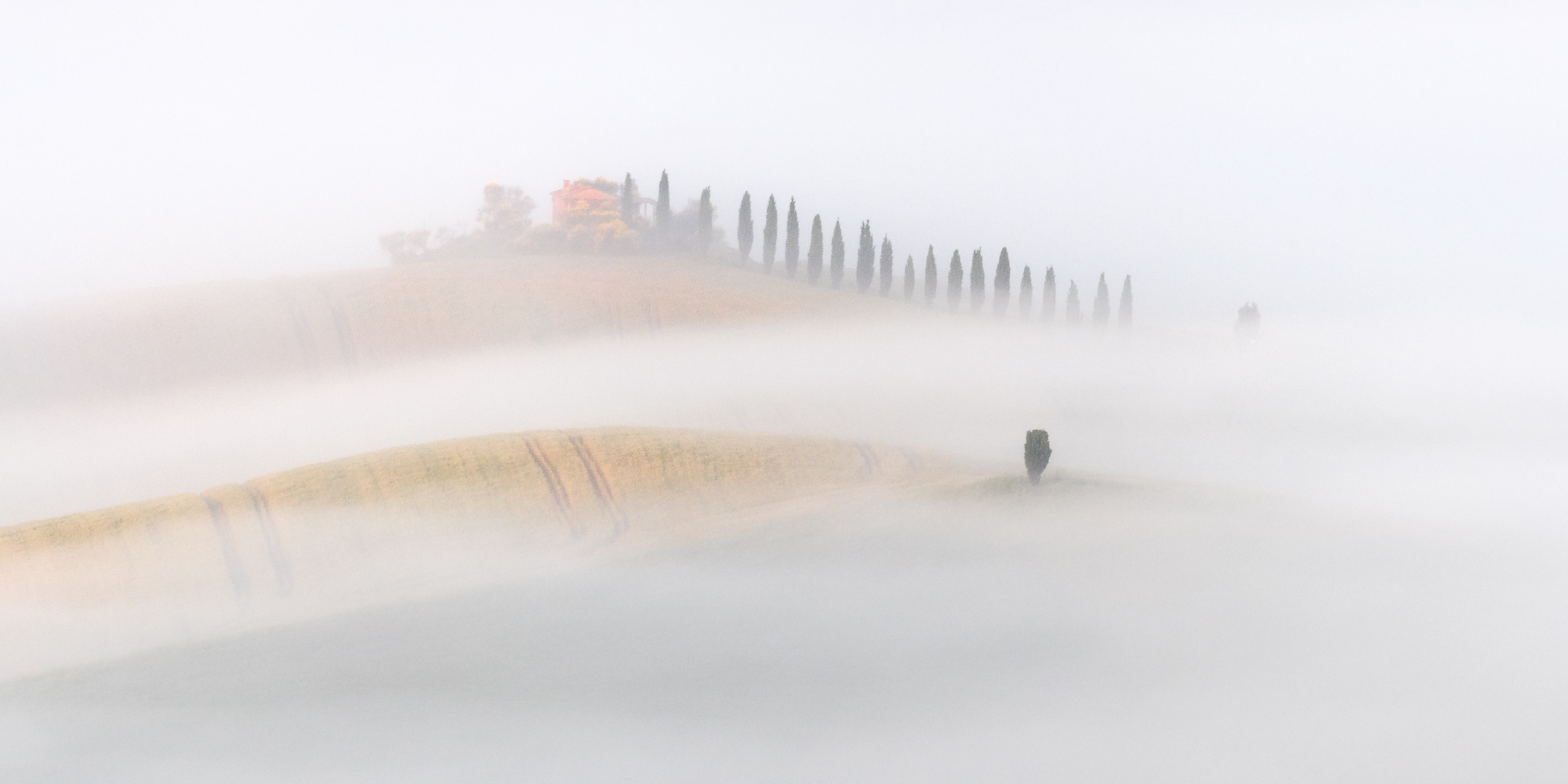 Toscana Nella Nebbia