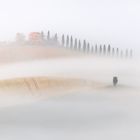 Toscana Nella Nebbia