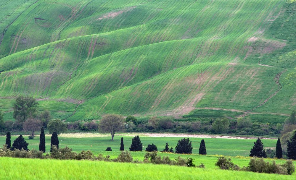 *toscana primavera*