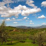 Toscana primaverile