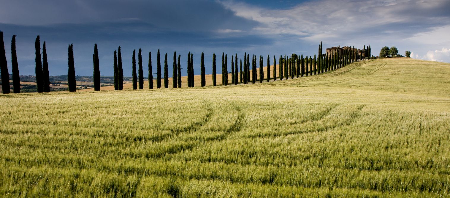 Toscana pur