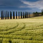 Toscana pur