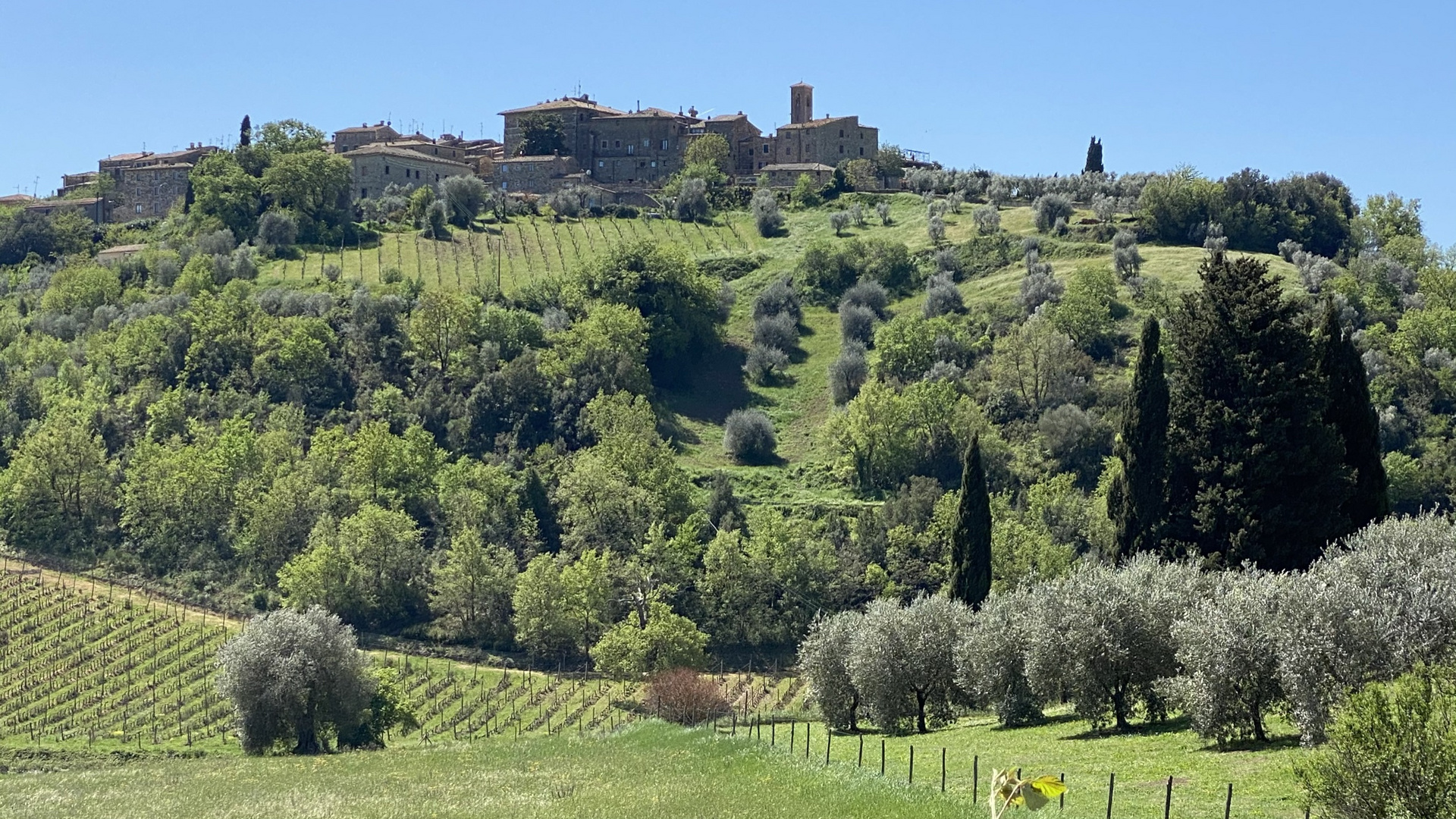 Toscana pur