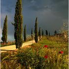 Toscana Sky