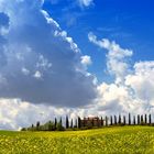 Toscana-Stimmung