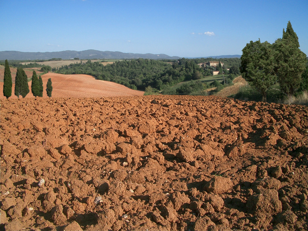 Toscana Terra di Siena