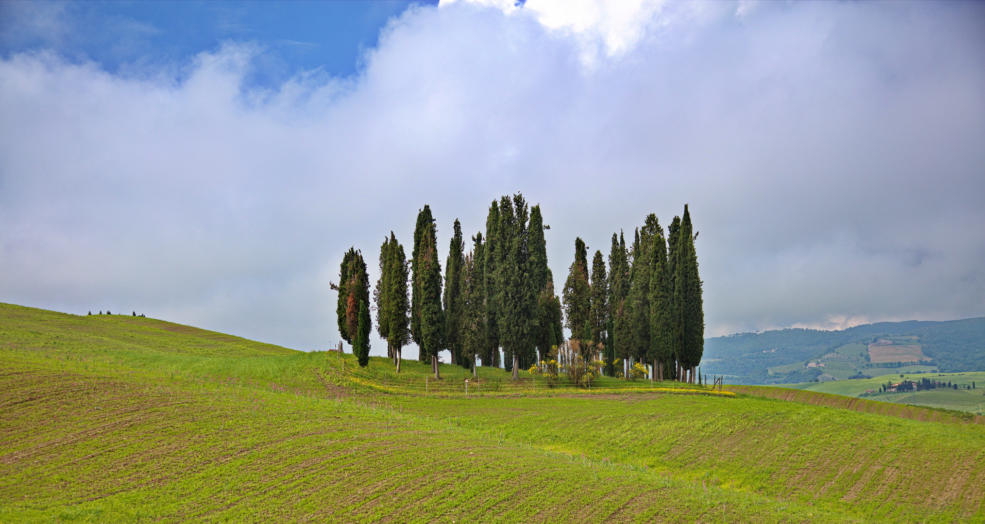 Toscana - Val d´Orcia - auf dem Weg nach Pienza