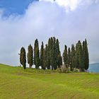 Toscana - Val d´Orcia - auf dem Weg nach Pienza