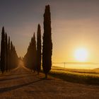 Toscana, Val dÓrcia: Agriturismo Poggio Covili im Sonnenaufgang