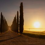 Toscana, Val dÓrcia: Agriturismo Poggio Covili im Sonnenaufgang