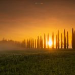 Toscana, Val dÓrcia: Agriturismo Poggio Covili im Sonnenaufgang