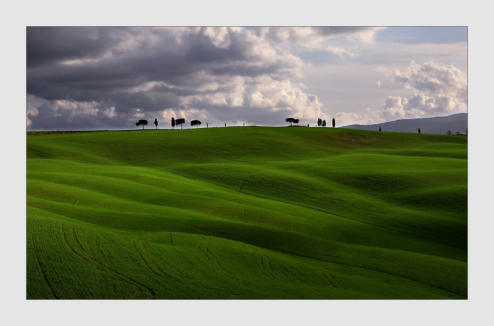 Toscana verde