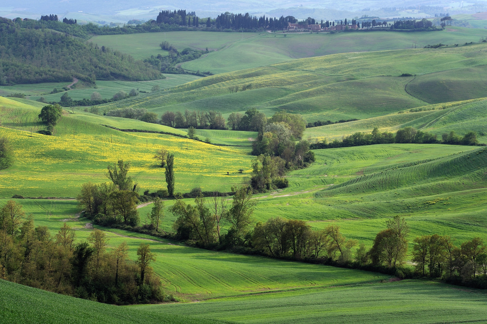 *toscana verde*