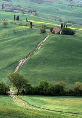 *toscana verde III*