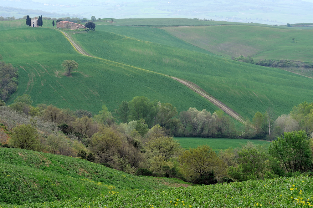 *toscana verde IV*