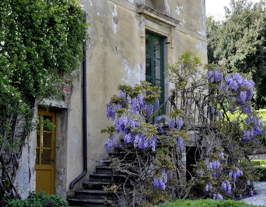 Toscana Villa Garden