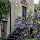 Toscana Villa Garden