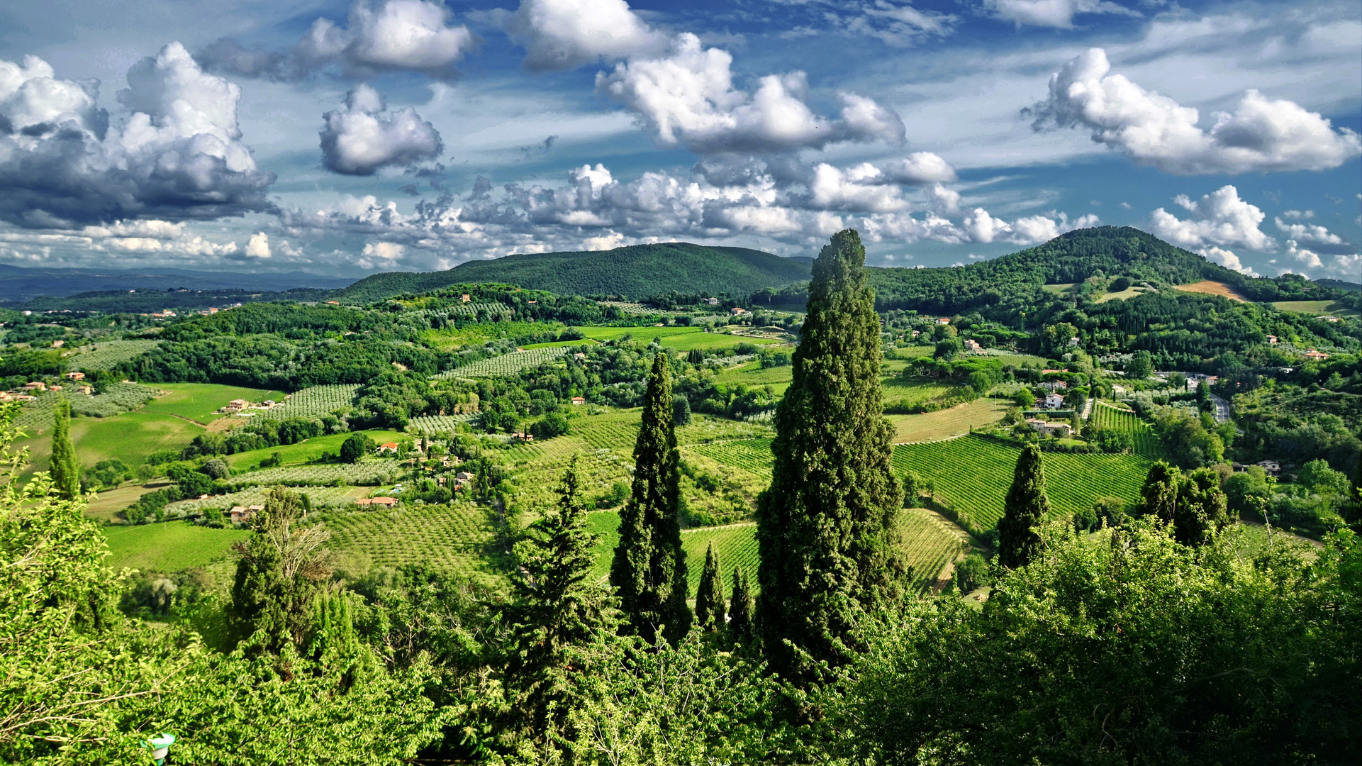 Toscana, Weingärten von Montepulciano