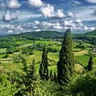 Toscana, Weingärten von Montepulciano
