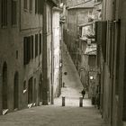 ... toscana XIV ...