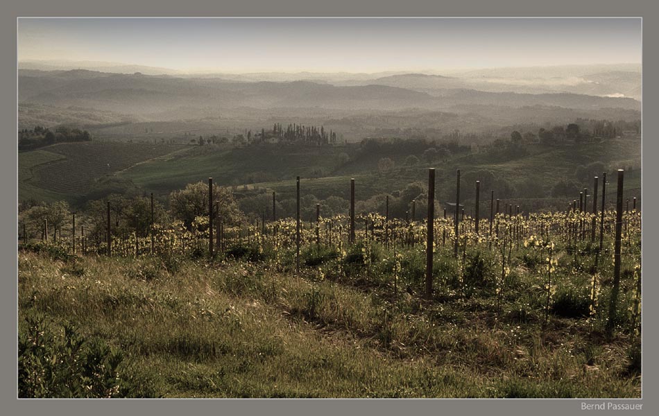 Toscana_1.3