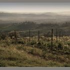 Toscana_1.3